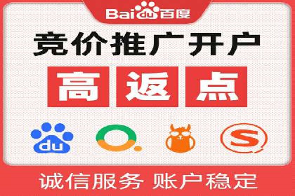 百度竞价代理技巧：经典成功案例解析